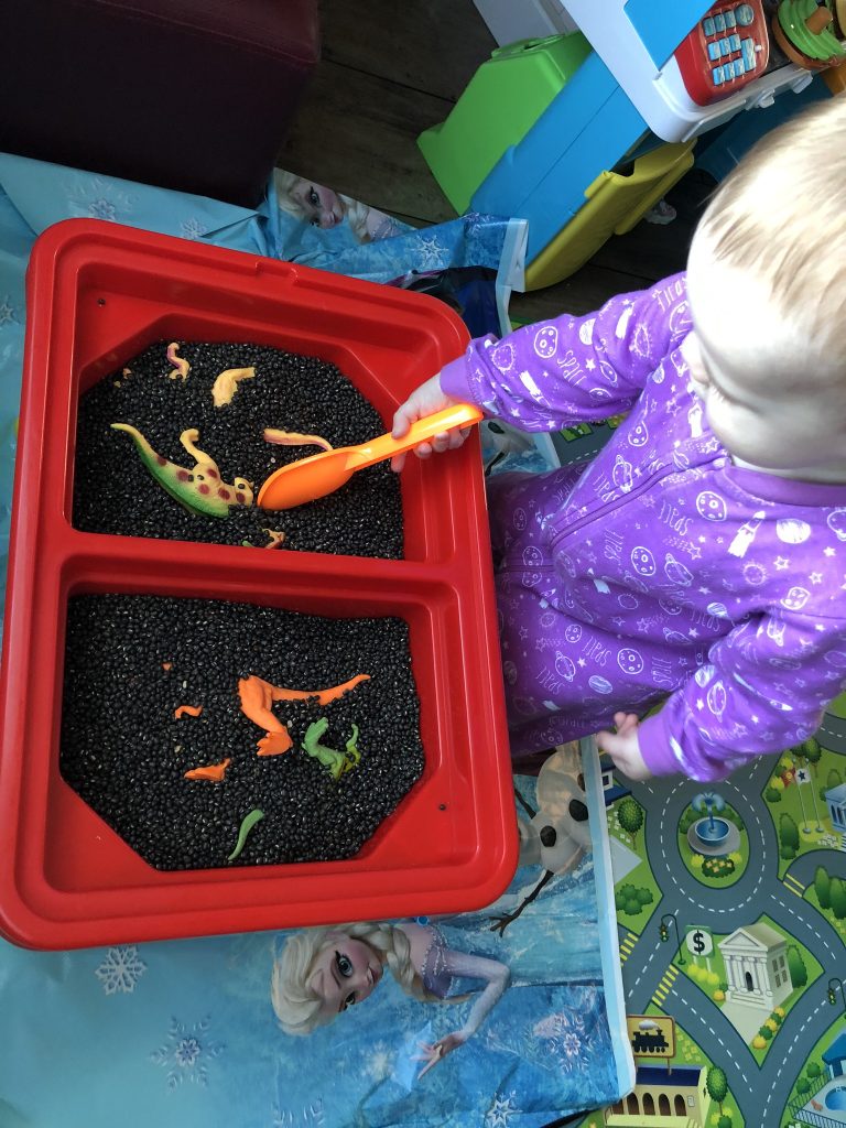 Toddler digging plastic dinosaurs out of black beans